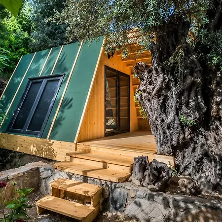 Bed & Breakfast Petrinos Butik Datca